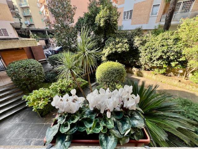 La Casa Delle Camelie Apartment Rome Luaran gambar